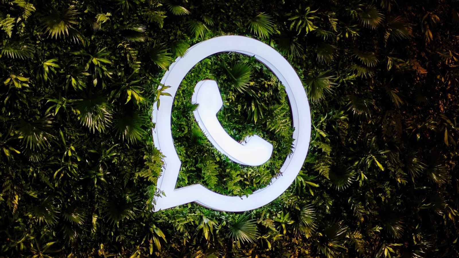whatsapp-chat-la-gi-huong-dan-su-dung-whatsapp-cho-nguoi-moi-bat-dau-26-05-68343a96af455 Whatsapp Chat là gì? Hướng Dẫn Sử Dụng WhatsApp Cho Người Mới Bắt Đầu 26.05