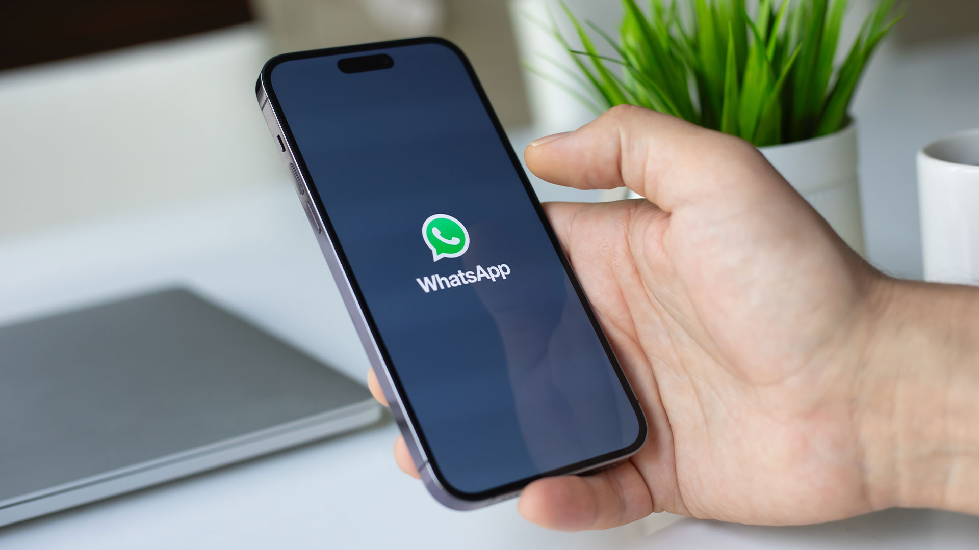 whatsapp-chat-la-gi-huong-dan-su-dung-whatsapp-cho-nguoi-moi-bat-dau-26-05-68343a96b05e2 Whatsapp Chat là gì? Hướng Dẫn Sử Dụng WhatsApp Cho Người Mới Bắt Đầu 26.05